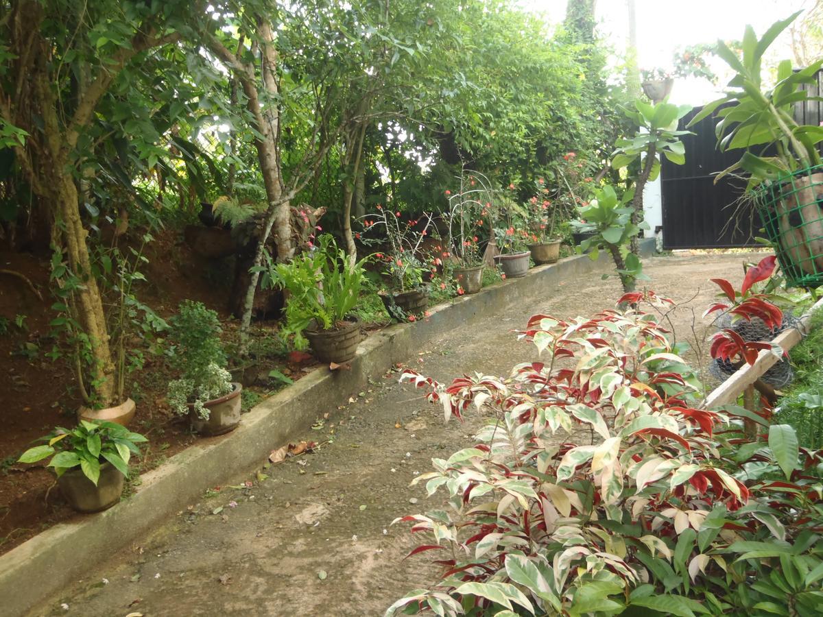 New Jaya Villa Bentota Buitenkant foto
