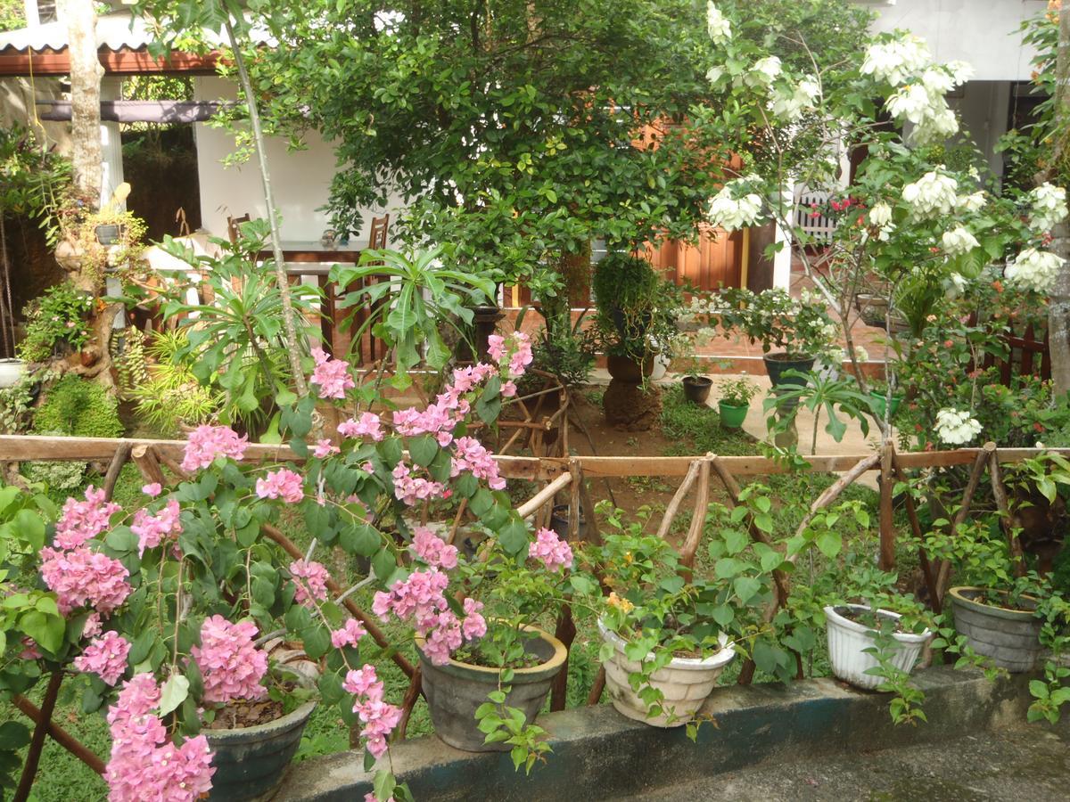 New Jaya Villa Bentota Buitenkant foto