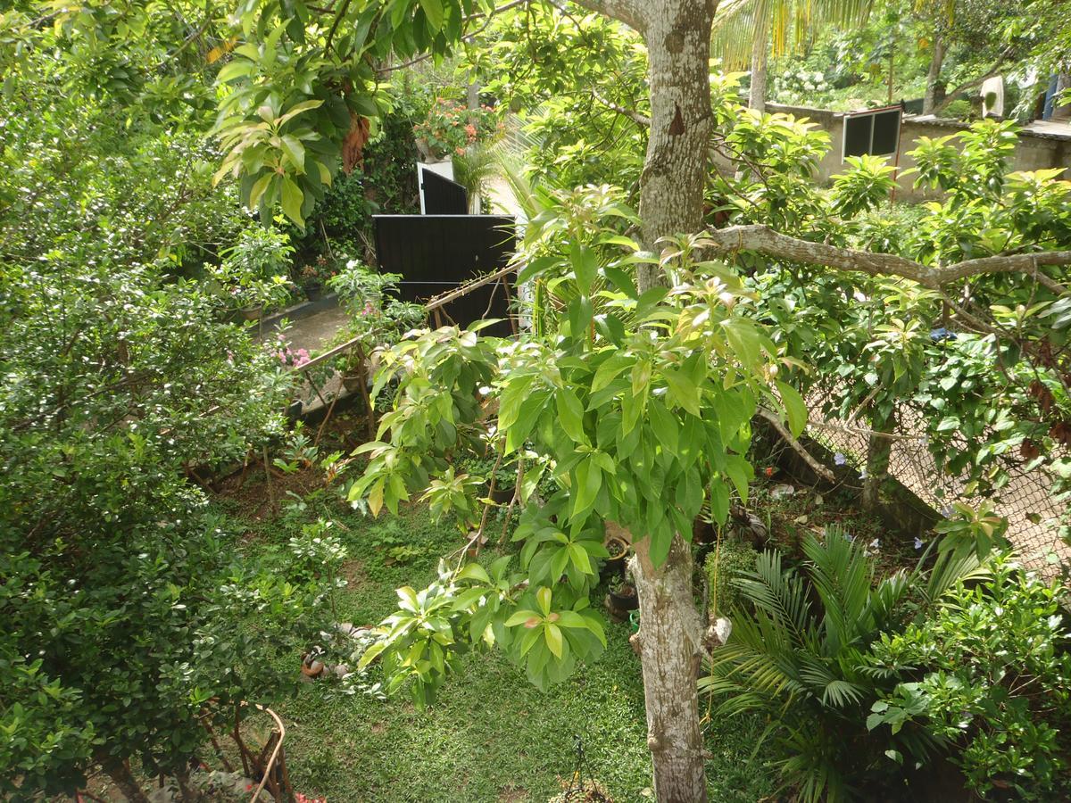 New Jaya Villa Bentota Buitenkant foto