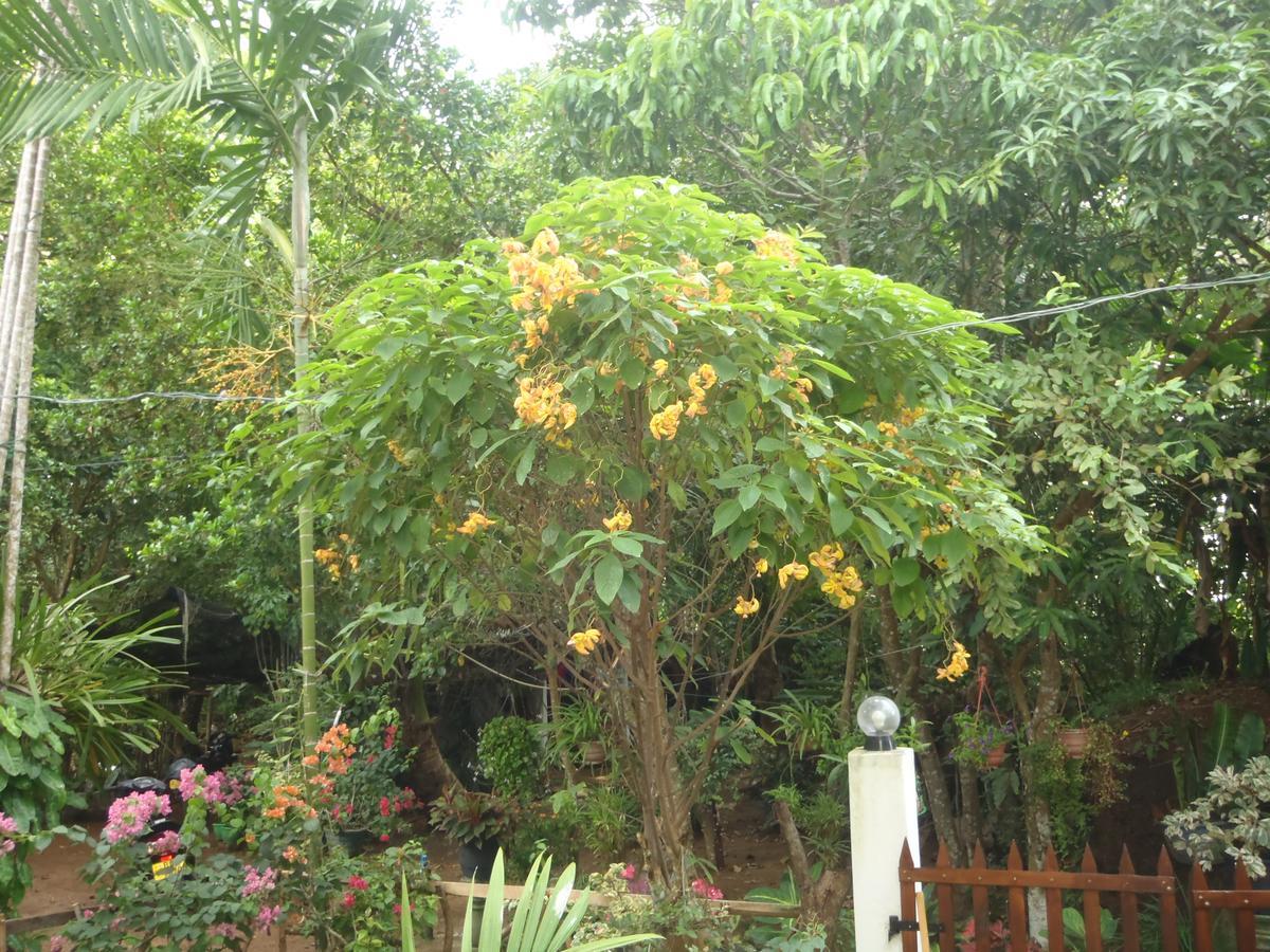 New Jaya Villa Bentota Buitenkant foto